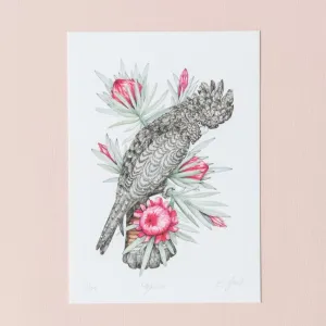 Banks Giclée Print